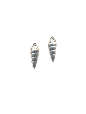 Tiny Mollusk Earrings