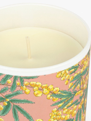 Wouf - Mimosa Candle