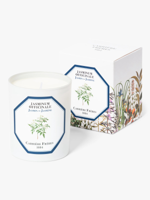 Jasminum Officinale Jasmine Candle