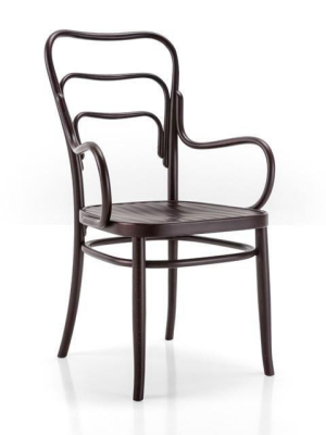 Gebruder Thonet Vienna 144 Bentwood Armchair By Gtv