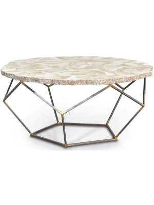 Loren Fossilized Clam Coffee Table