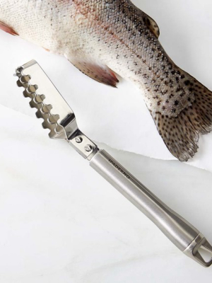 Paderno Stainless-steel Fish Descaler