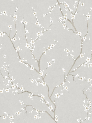 Grey Cherry Blossom Peel & Stick Wallpaper By Roommates For York Wallcoverings