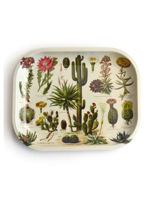 Metal Cacti Tray