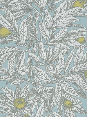 Medlar Wallpaper In Sky And Chartreuse From The Mansfield Park Collection By Osborne & Little