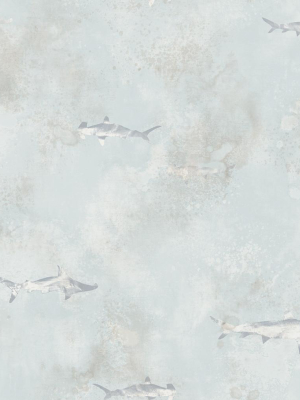 Sharks Wallpaper In Grey, Cream, And Gunmetal From The Aerial Collection By Mayflower Wallpaper