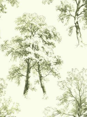 Deciduous Wallpaper In Green By Ashford House For York Wallcoverings