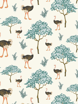 Savanna Ostrich Wallpaper In Gypsom From The Wallpaper Republic Collection By Milton & King