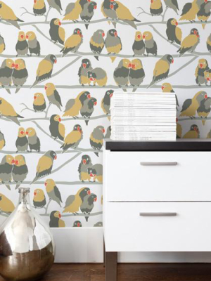 Lovebirds Wallpaper In Paradise Design By Aimee Wilder