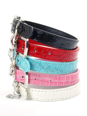 Spots & Bling - Pet Collars