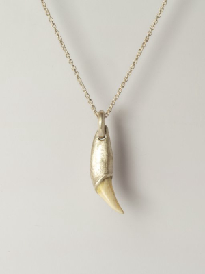 Bear Tooth Necklace Ghost Hybrid (small, Ma+b)