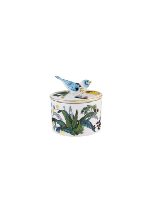 Vista Alegre Christian Lacroix Primavera Box Carrica