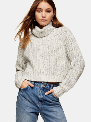 Gray Neppy Cropped Roll Neck Knitted Sweater