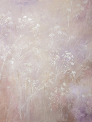 Meadow