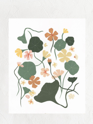 Nasturtiums Print