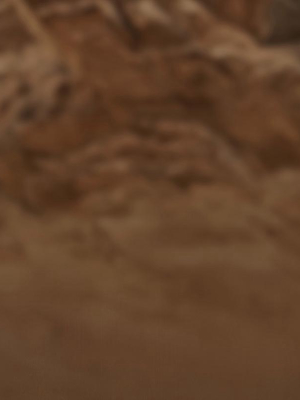 Desert