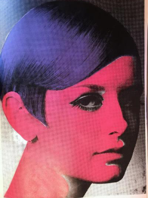 Twiggy - 4