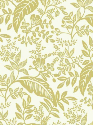 Canopy Wallpaper In Gold And White From The Rifle Paper Co. Collection By York Wallcoverings