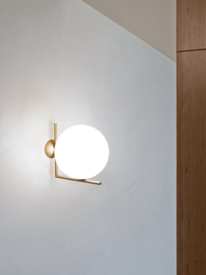 Ic Ceiling & Wall Light