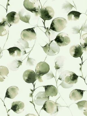 Eucalyptus Trail Wallpaper In Green By Antonina Vella For York Wallcoverings