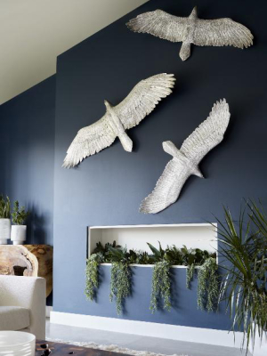 Soaring Eagle Wall Art
