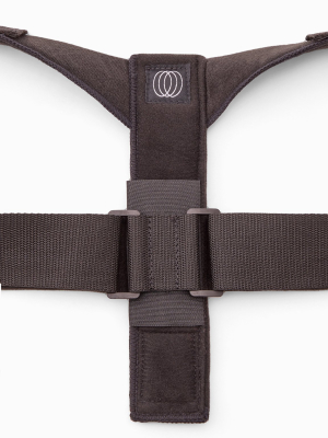 Posture Brace