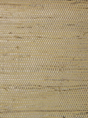 Fine Arrowroot Er131 Wallpaper From The Essential Roots Collection By Burke Decor