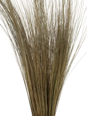 Vickerman All Natural Bright Grass Bundle