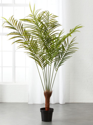 Potted Faux Palm Tree 5.5'