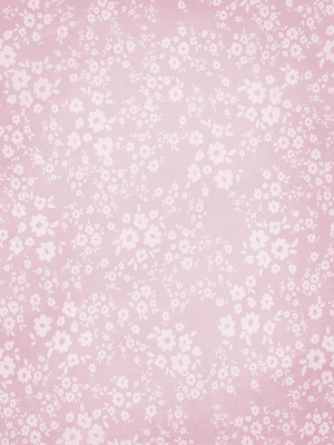 Pink Daisy