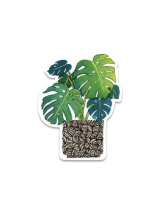 Monstera Plant Sticker