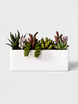 3.5" X 3.5" Artificial Succulents In Pot White - Project 62™