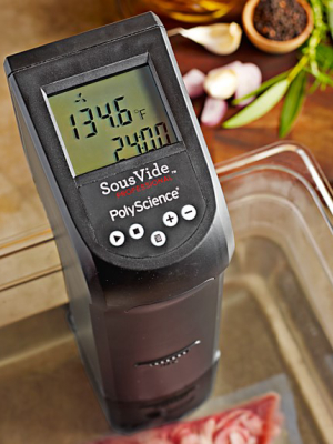 Polyscience Sous Vide Professional Creative Series