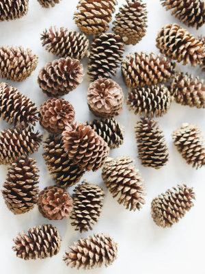 Box Of 100 Natural Medium Pine Cones - 3-5" Long