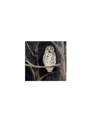 Tiny Framed 4x4 Print - Barred Owl