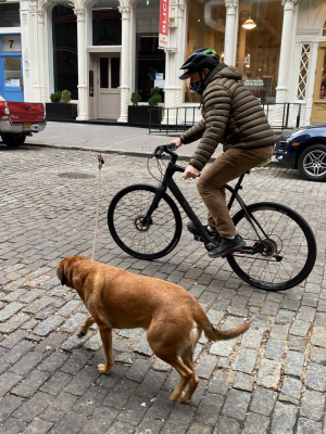 Dog Leash Bike Clip