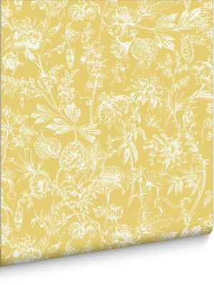 Stroma Wallpaper In Dandelion From The Exclusives Collection By Graham & Brown