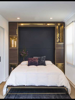 The Amuneal Murphy Bed