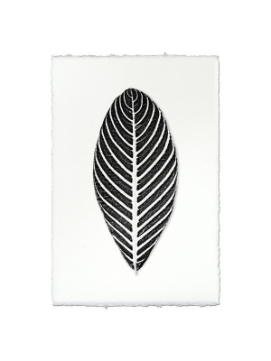 Leaf Print "zebra Leaf"