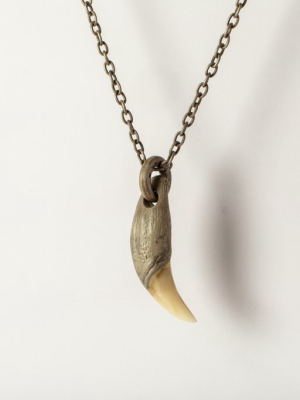 Bear Tooth Necklace Ghost Hybrid (large, Da+b)