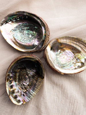 Treasured Things Abalone Offering Bowl
