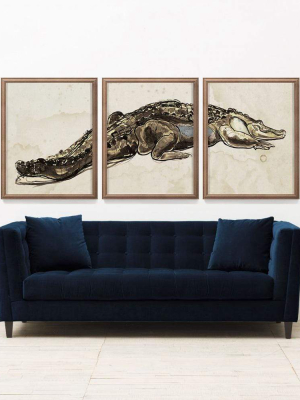 Natural Curiosities Hanriout Giraud Alligator Triptych 1