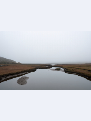 Point Reyes Stillness