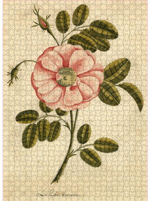 Garden Rose 1,000-piece Puzzle
