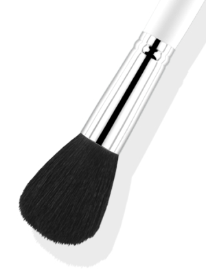 Brush #6 - Large Powder