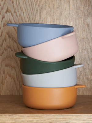 Dining . Set Of 4 Silicone Bowls - Iggy / Various Colours