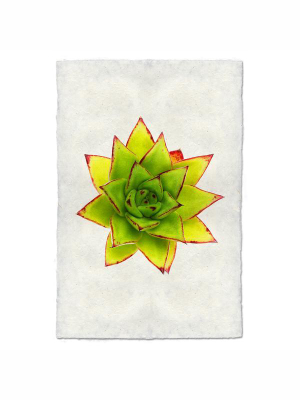 Succulent Print #9