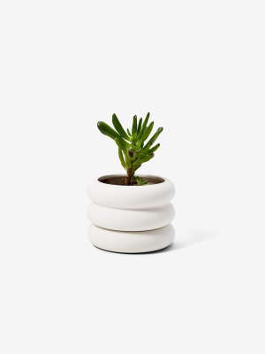 Stacking Planter Mini