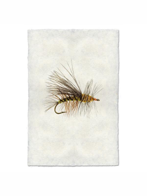 Fly Fishing Print - Stimulator