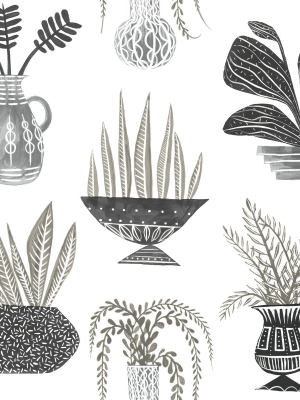 Plant Party Peel & Stick Wallpaper In Black From The Risky Business Iii Collection By York Wallcoverings